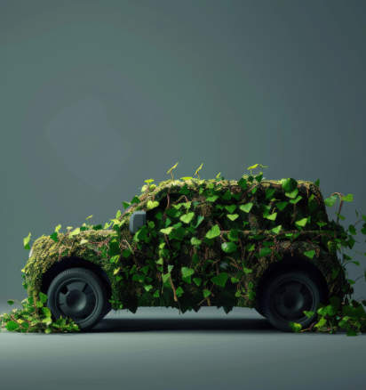 Autoverschrottung Bornheim